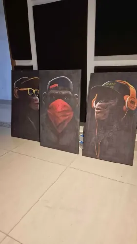 Kit 3 quadros 3 Macacos