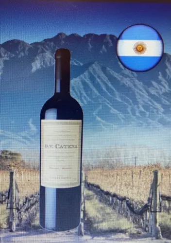 Vendo vinhos argentinos 