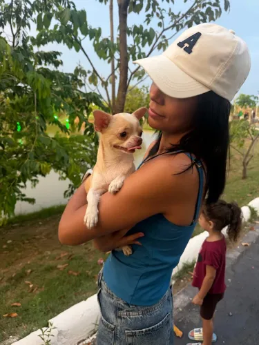 Cachorro