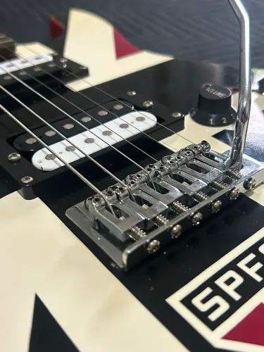 Guitarra Waldman