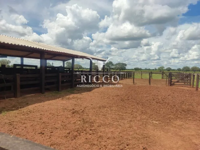 FAZENDA À VENDA EM SÃO MIGUEL DO ARAGUAIA GO | 276 ALQUEIRES