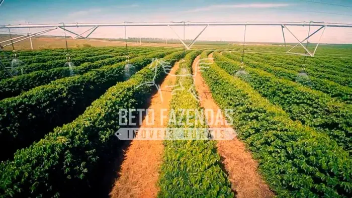 Fazenda/Sítio/Chácara para venda tem metros quadrados em Centro - Patrocínio - MG