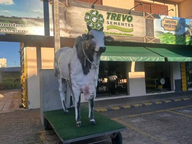 Loja Agropecuária