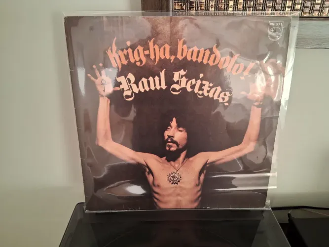 Lp disco de vinil de Raul seixas