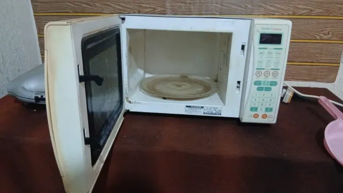 Micro ondas 220v