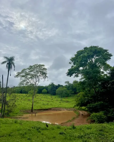 VENDE-SE CHÁCARA ANGICAL - SANTA CRUZ DE GOIÁS/GO