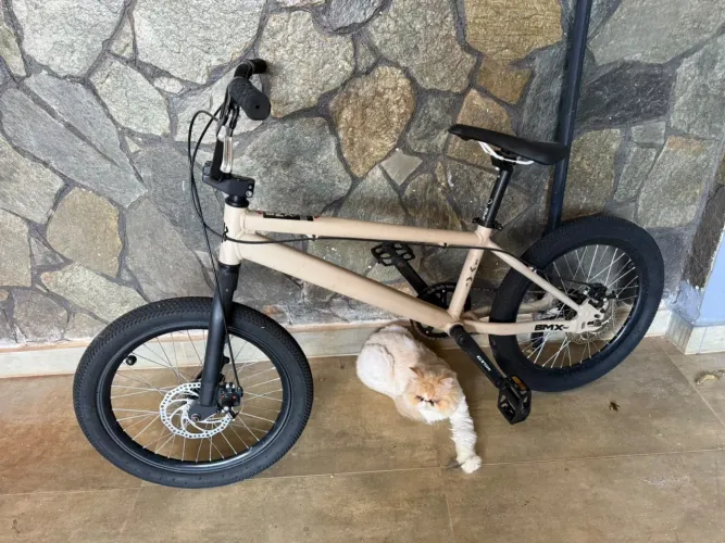 BMX gts m1