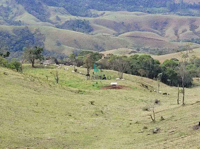 FAZENDA FORMADA EM PASTO Á VENDA EM PINDAMONHANGABA-SP