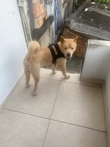Doação 