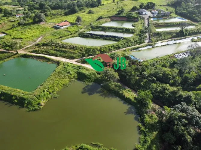 Linda fazenda de camarão em plena produção na Região de Guarabira PB