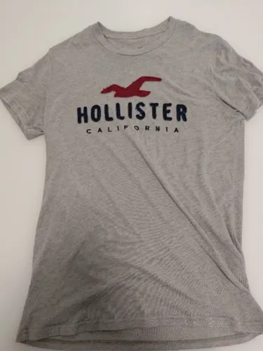 Camiseta Holister (Tam. M)
