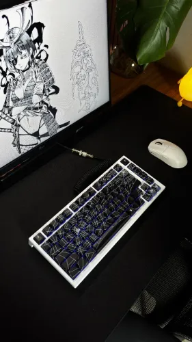 Teclado Magnetico Akko TAC75 HE - 8KHz | Rapid Trigger | RGB |NOVO
