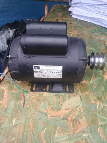 Motor elétrico 2cv weg 
