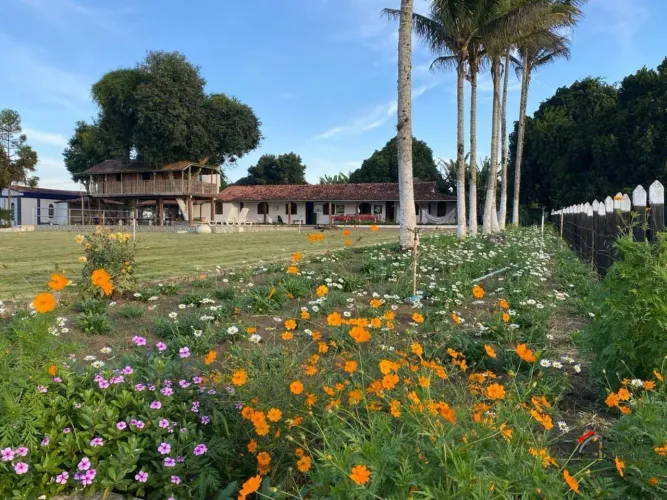 FAZENDA RURAL em Jaguaquara - Bahia,