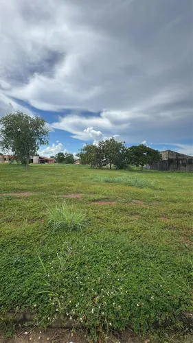 Lote 250m² em Luzimangues - Jardim Boa Vista | Escriturado e Regularizado