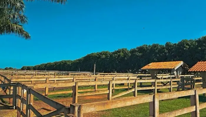Fazenda à venda em Aparecida do Taboado, Oriente, com 2 suítes, com 1766600 m²