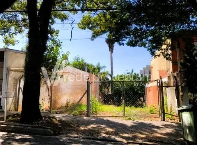 terreno - Cambuí - Campinas