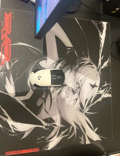 Wallhack Frenzy Sora 