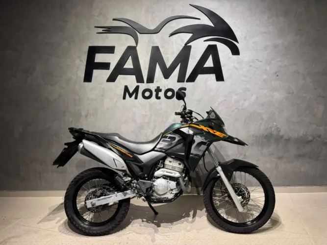 HONDA XRE 300/ 300 ABS/ FLEX 2020 Flex