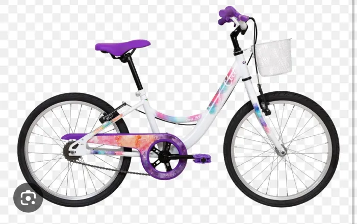Bicicleta Ceci