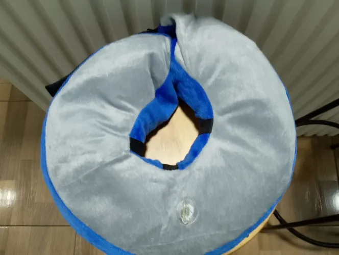 COLAR ELIZABETANO INFLÁVEL 