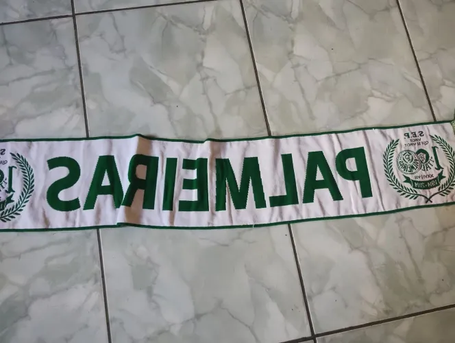 Cachecol do palmeiras
