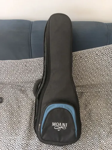 Ukulele seizi tenor elétrico!! 400 reais!! Valor negociável!!