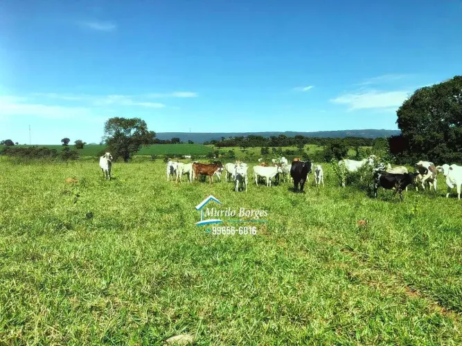 Imóvel para venda tem 629200 metros quadrados com 3 quartos