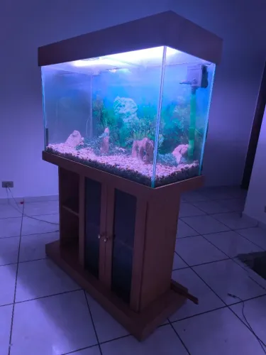 Aquário 200 Litros Completo com iluminação + Móvel em Madeira + decoração