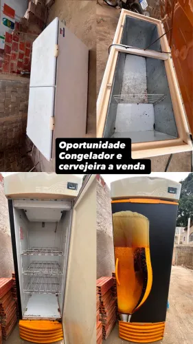 Freezer e Congelador