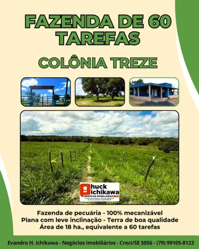 FAZENDA - 60 tarefas COLÔNIA TREZE