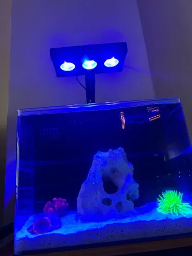 Luminária aquário marinho Newpet 30w