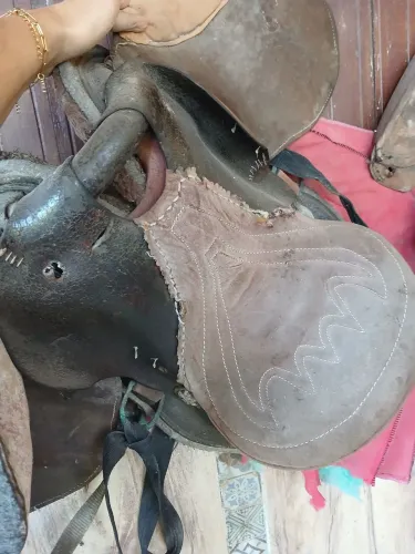 Sela  de andar a cavalo 