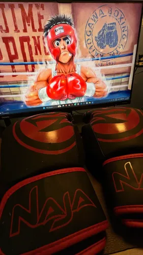 Luva de Boxe Naja 12 oz - Usada
