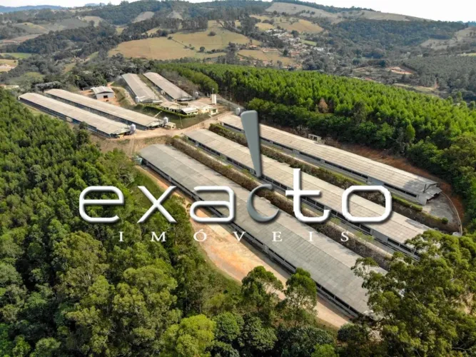 sítio - Boa Vista dos Silva - Bragança Paulista