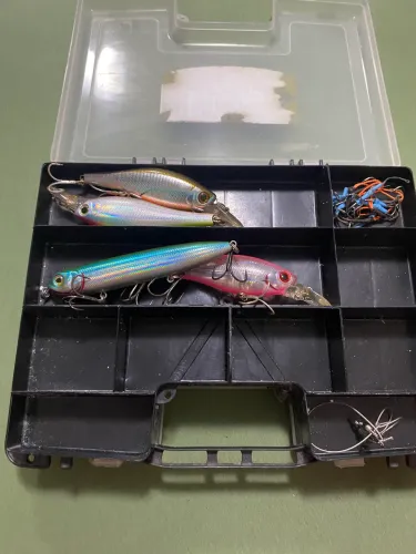 Isca de pesca 