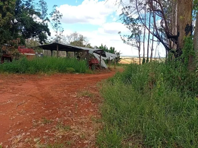 Fazenda 164 hectares em Piumhi Mg ! 