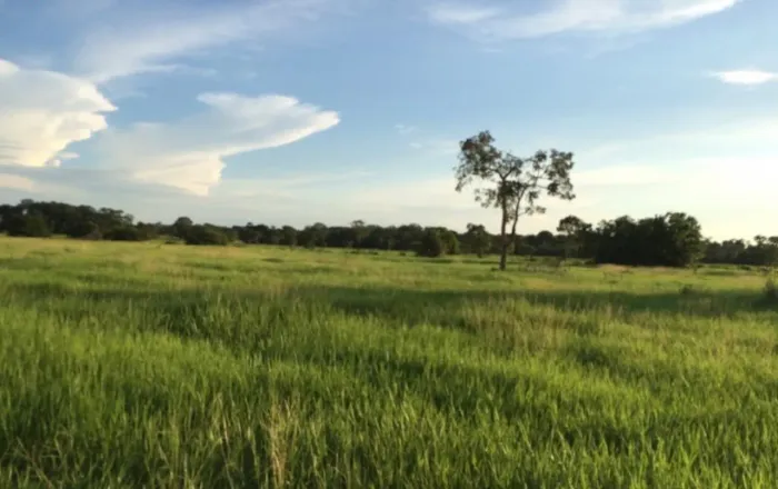Arrendo fazenda para soja no Tocantins 