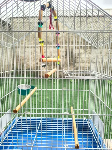 Gaiola de pássaros