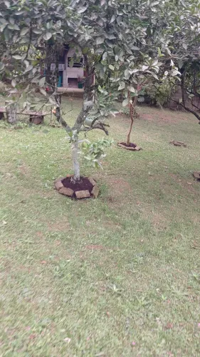 Manutenção de jardins