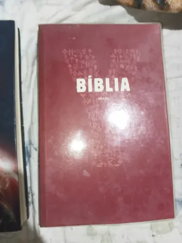 Bíblia jovem