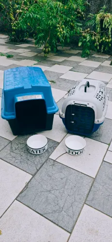 Casinha cachorro ?