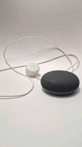 Google Nest Mini