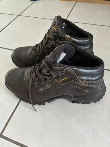 Bota Bull Terrier - 40