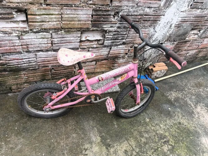 bicicleta infantil menina