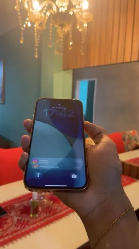 IPHONE 12 PRO MAX