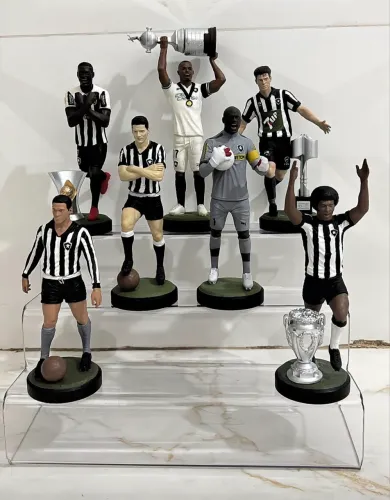 Kit 7 estátuas jogadores Botafogo