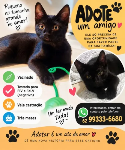 Doação responsável