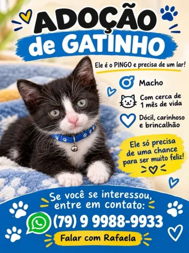 FRAJOLINHAS