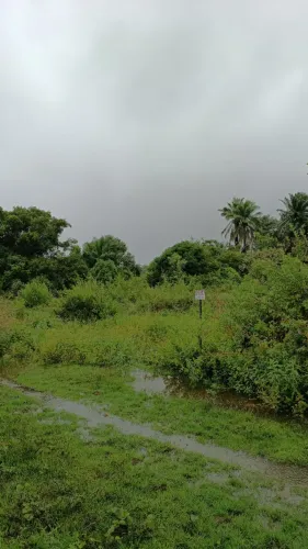 Terreno em Saubara/BA 160m²